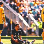 Dominic Solankes Season In Doubt Amid Tottenham's Relegation Battle
