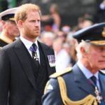 Palace aides 'don't trust' Prince Harry alone with King Charles, experts say