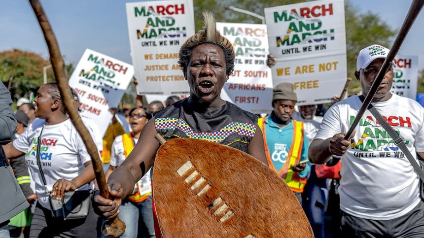 South Africas illegal migration backlash mirrors political battles across the West
