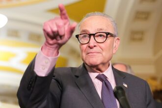 Schumer said Democrats support voter ID â then every Senate Democrat voted against GOP bill