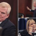 Alex Murdaugh's defense makes 'high risk' move to show DNA proves he didn't kill family, prosecutor says