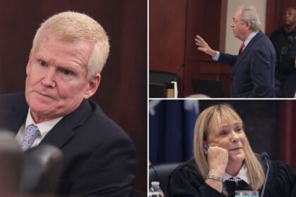 Alex Murdaugh's defense makes 'high risk' move to show DNA proves he didn't kill family, prosecutor says