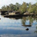 Australian bishop sentenced for abusing young indigenous men