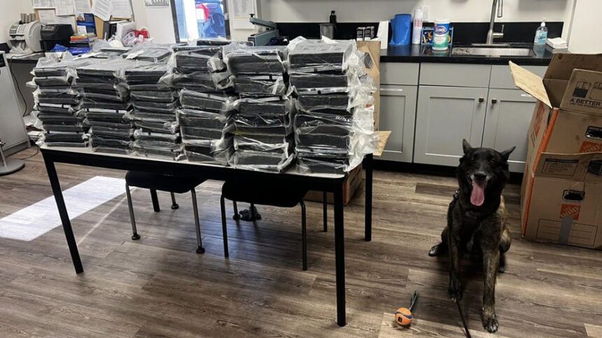 California K-9 Otis helps police seize 440 pounds of cocaine during Alhambra traffic stop