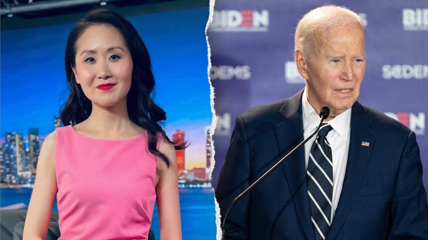 From Democratic insider to party exile: Lindy Li isnt ruling out another run for Congress