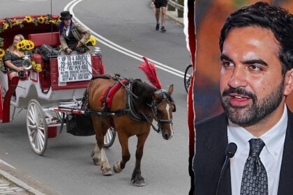 Mamdani accused of betraying NYC workers as union boss blasts 'anti-labor' horse carriage ban